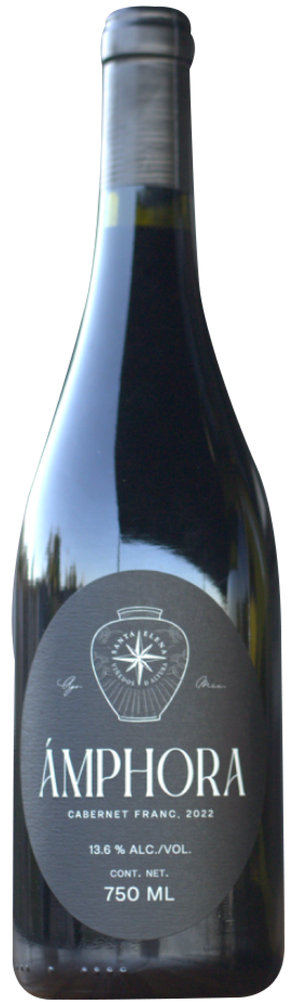 vinos-19